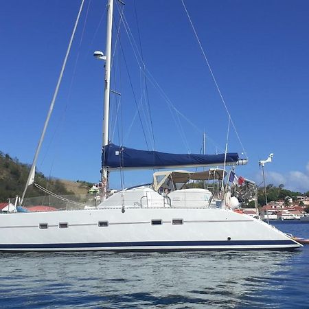Catamaran Cypraea Hotell Terre-De-Haut Eksteriør bilde