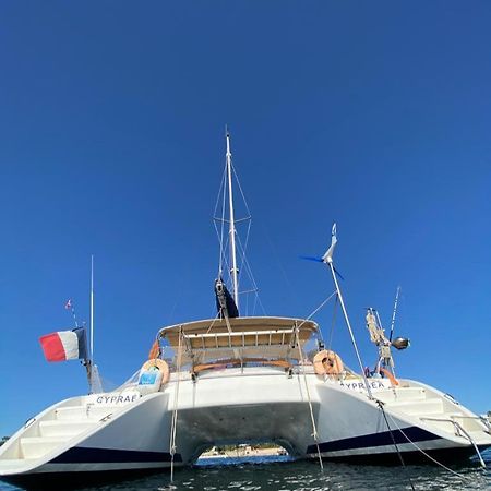 Catamaran Cypraea Hotell Terre-De-Haut Eksteriør bilde