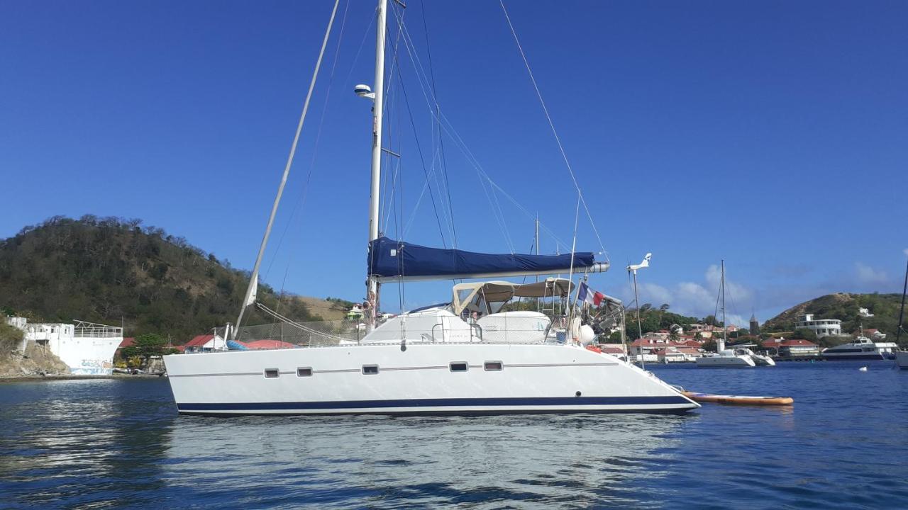 Catamaran Cypraea Hotell Terre-De-Haut Eksteriør bilde