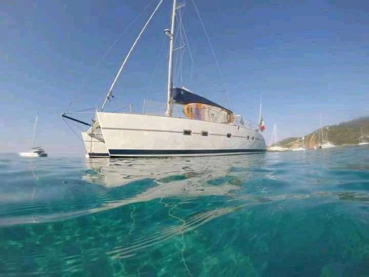 Catamaran Cypraea Hotell Terre-De-Haut Eksteriør bilde