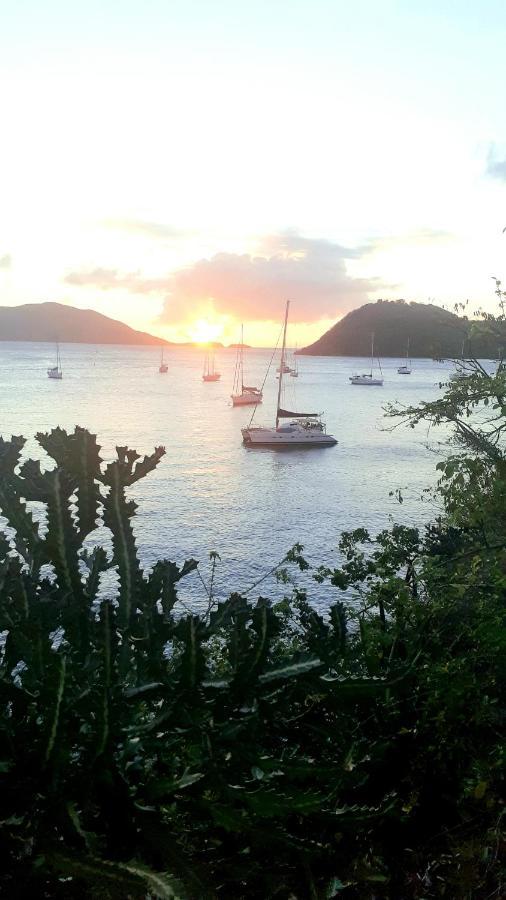Catamaran Cypraea Hotell Terre-De-Haut Eksteriør bilde