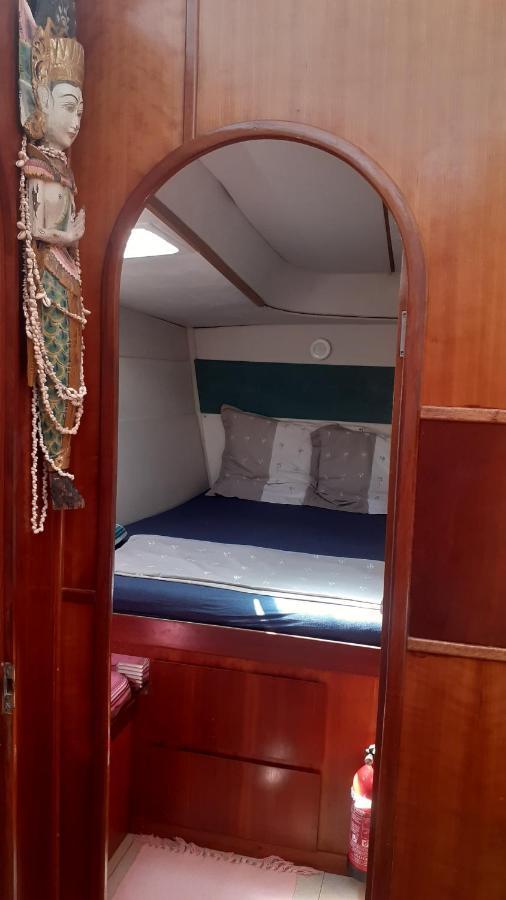 Catamaran Cypraea Hotell Terre-De-Haut Eksteriør bilde