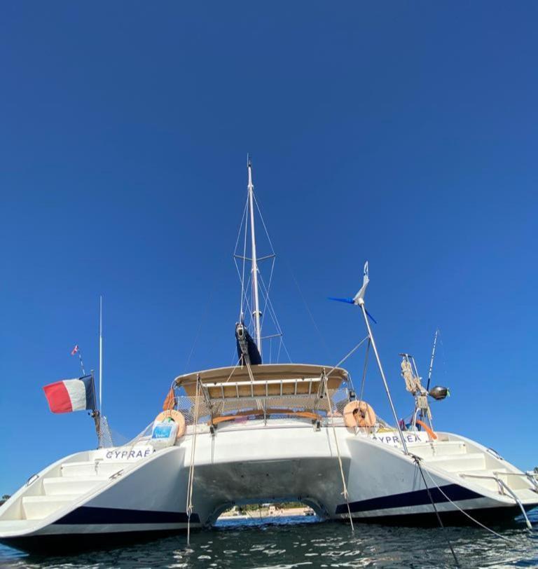Catamaran Cypraea Hotell Terre-De-Haut Eksteriør bilde