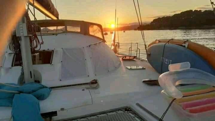 Catamaran Cypraea Hotell Terre-De-Haut Eksteriør bilde